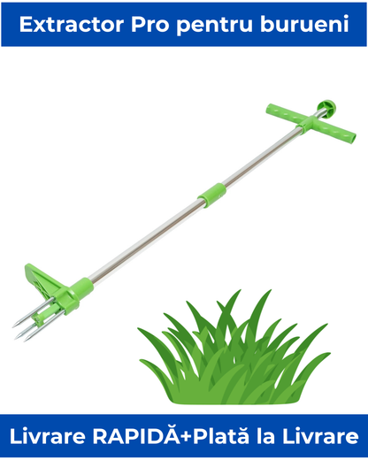 Extractor Pro de Buruieni
