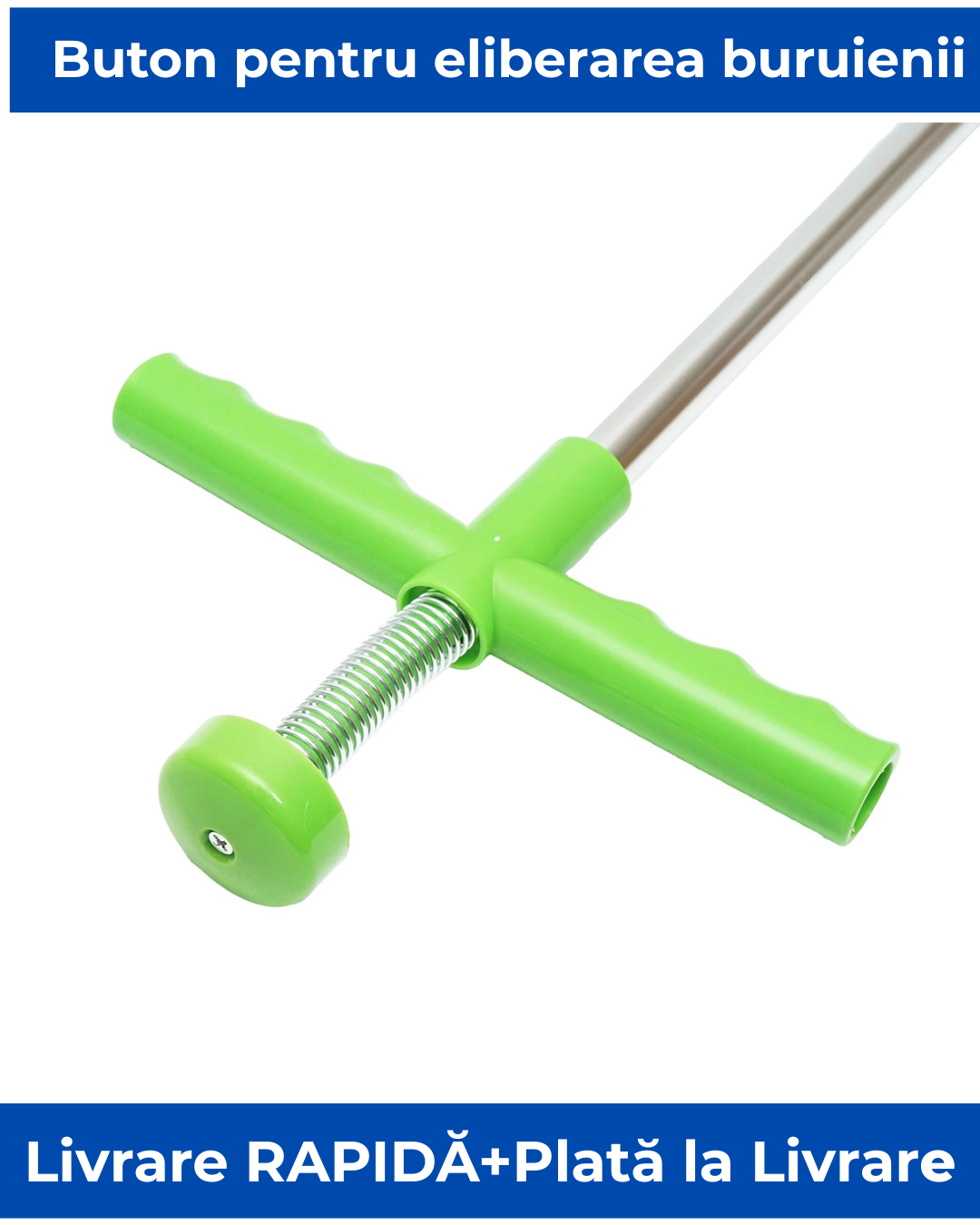 Extractor Pro de Buruieni