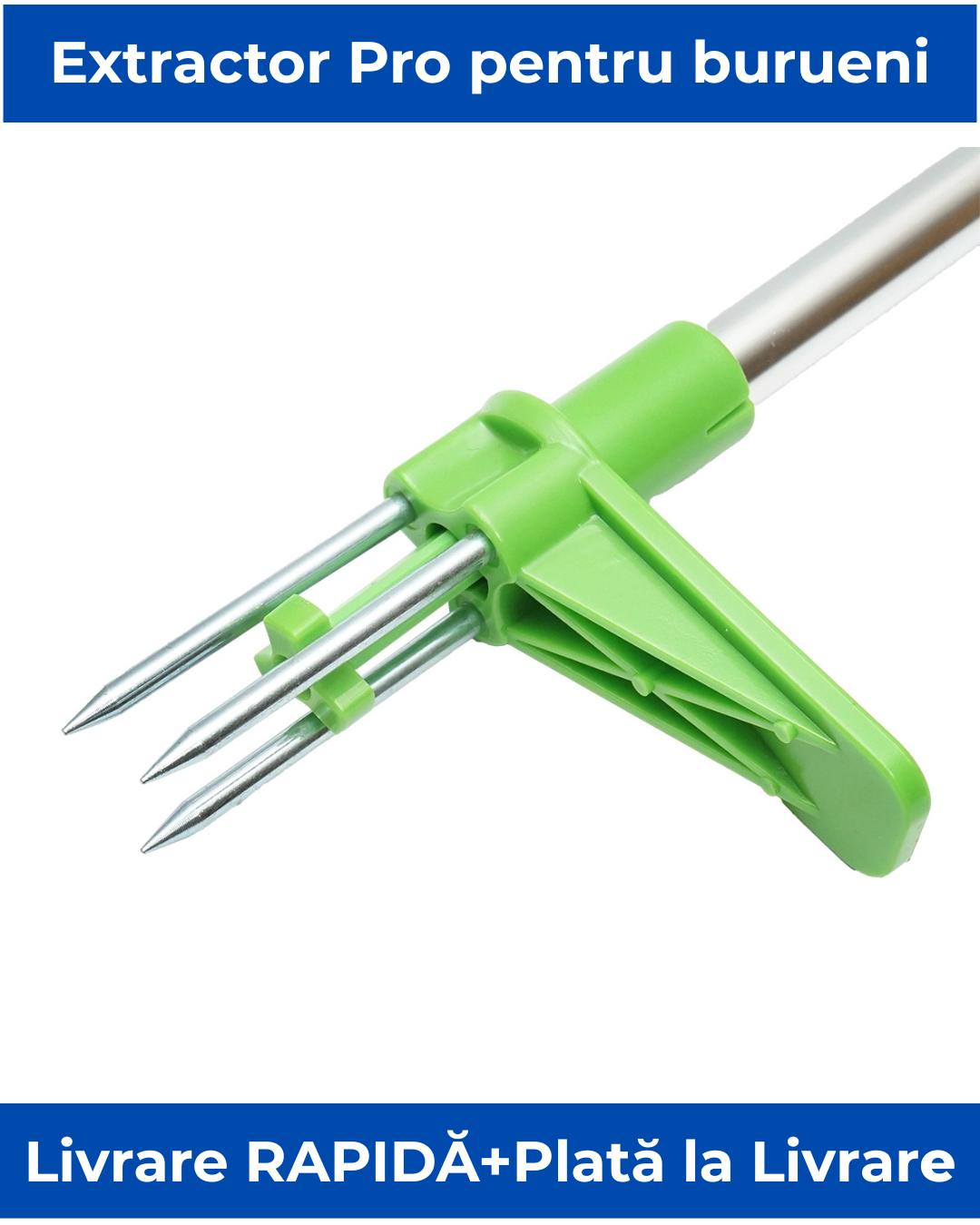 Extractor Pro de Buruieni