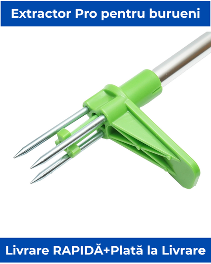 Extractor Pro de Buruieni