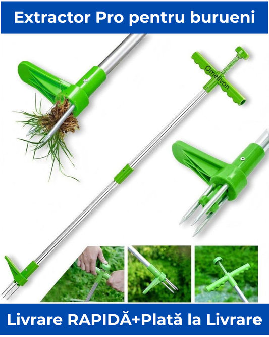Extractor Pro de Buruieni
