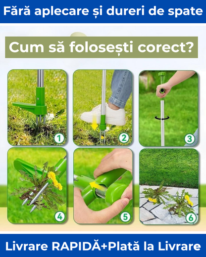 Extractor Pro de Buruieni