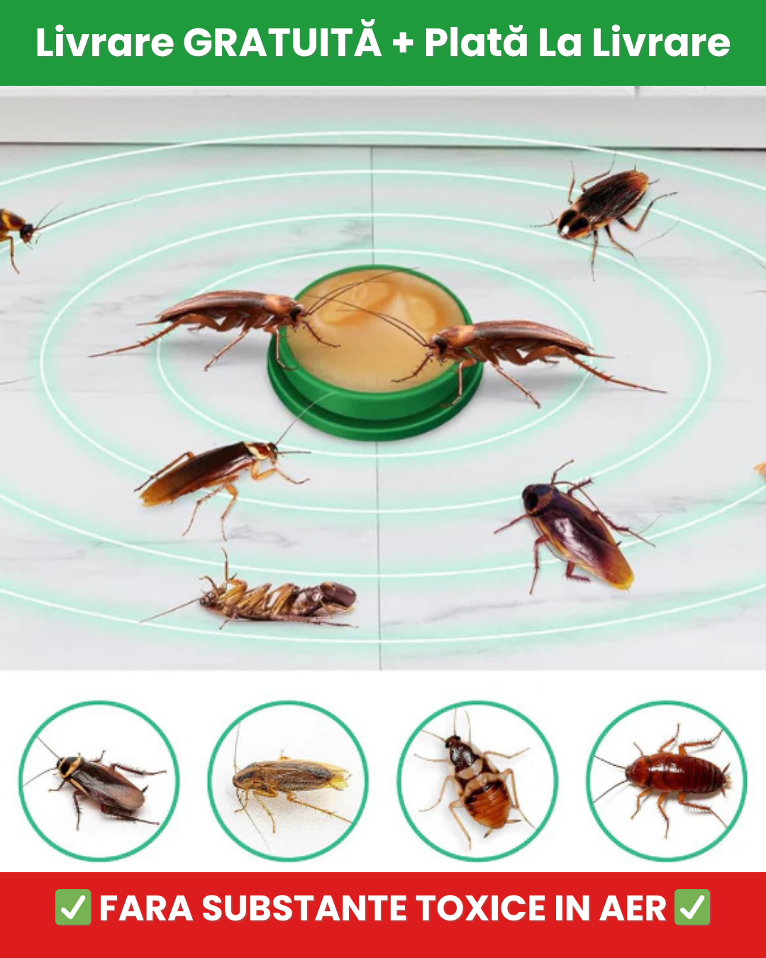 Capcana pentru gandacii de bucatarie