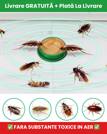 Capcana pentru gandacii de bucatarie